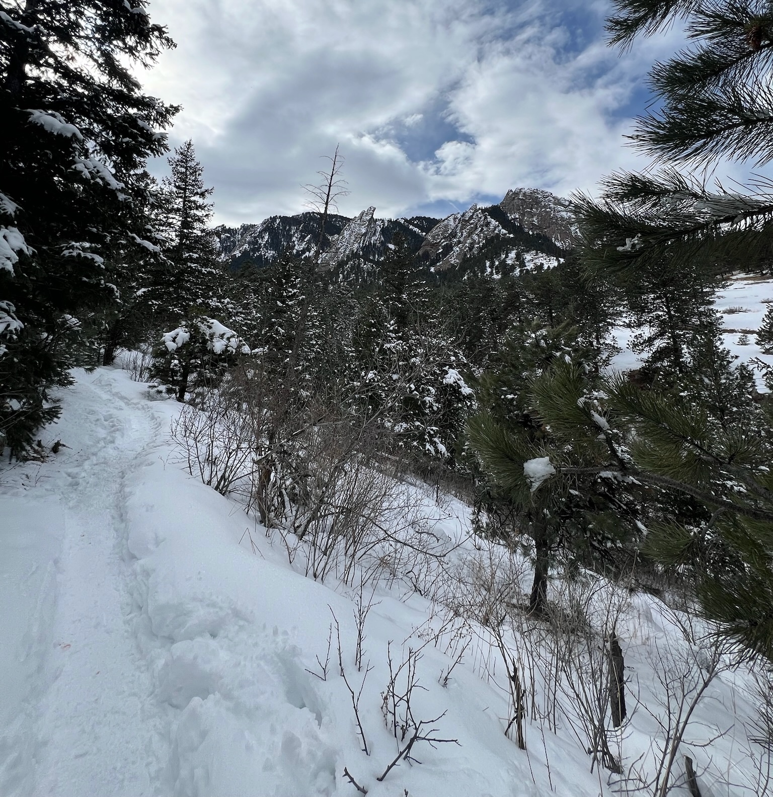 A picture hiking the Enchanted Mesa Trail in the snow. Taken February 2024